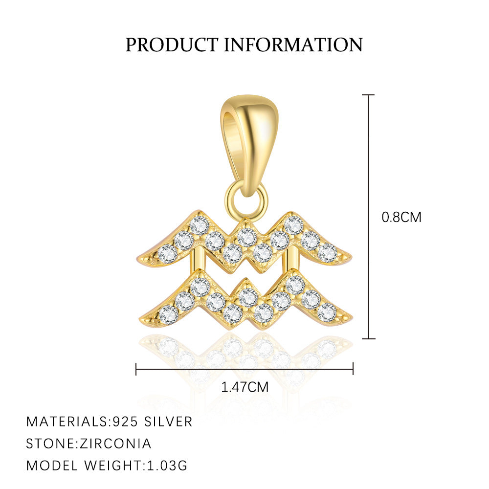 S925 sterling silver twelve constellations exquisite personalized collarbone chain women's light luxury fashion pendant