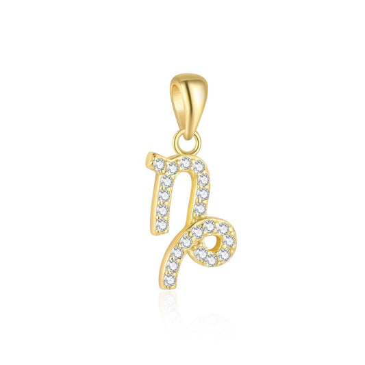 S925 sterling silver twelve constellations exquisite personalized collarbone chain women's light luxury fashion pendant